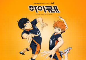 하이큐 스포츠 애니