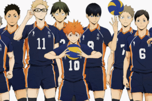 하이큐 스포츠 애니