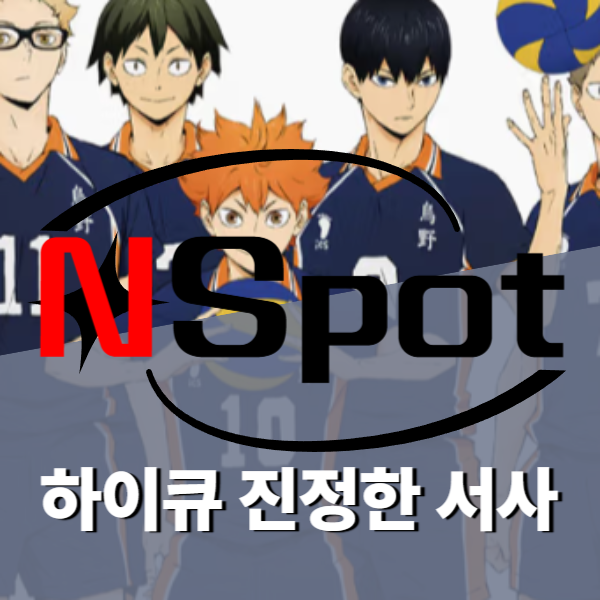 하이큐 스포츠 애니